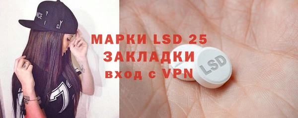 PSILOCYBIN Баксан