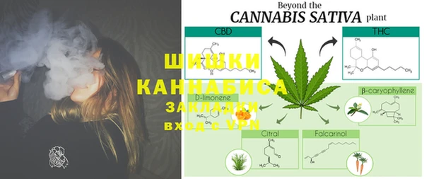 PSILOCYBIN Баксан