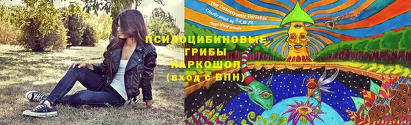 PSILOCYBIN Баксан