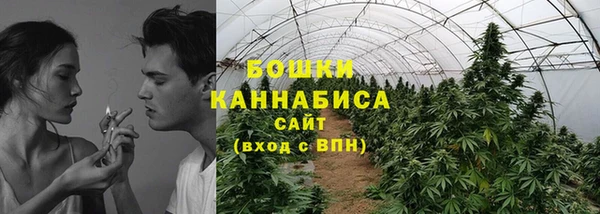 PSILOCYBIN Баксан